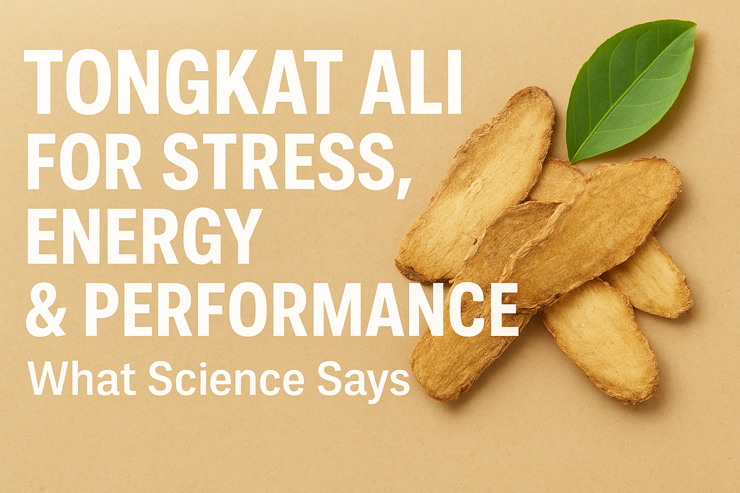 Evidence-Backed Benefits of Tongkat Ali for Stress and Vitality