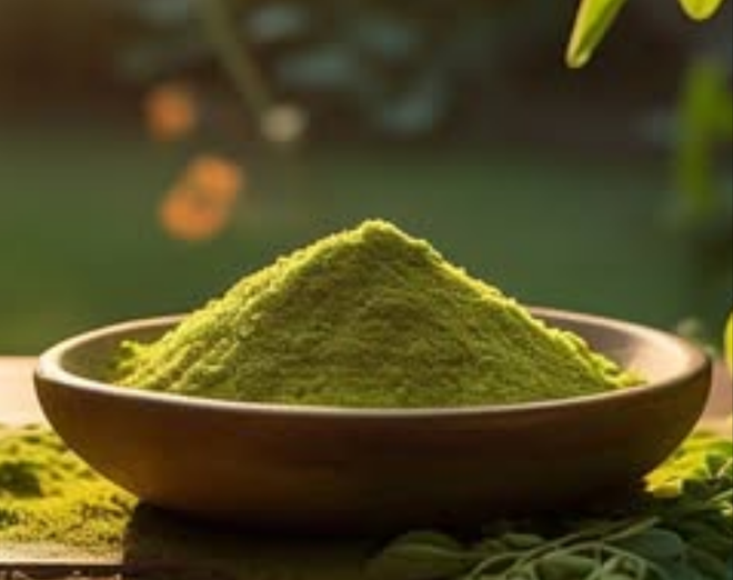 Buy Pure Moringa Oil - Moringa Leaves & Seed Oil